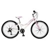 Велосипед Trek MT Track 200 Girls (2010)