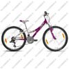 Велосипед Trek MT Track 220 Girl (2011)