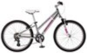 Велосипед Schwinn Midi Mesa Girls (2011)